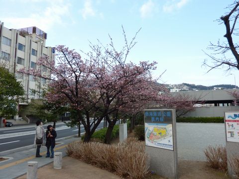 ��ʬ�餭��
