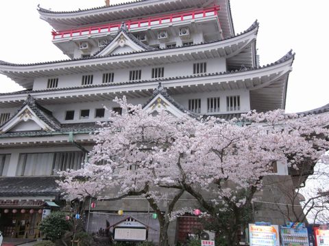 IMG_0262.jpg