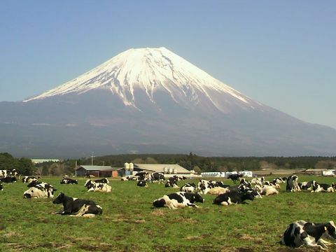 asagiri.jpg