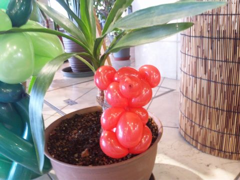 110422_160402.jpg