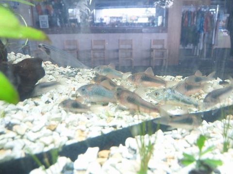 110427_135325.jpg