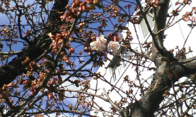 ��餭Ǯ����