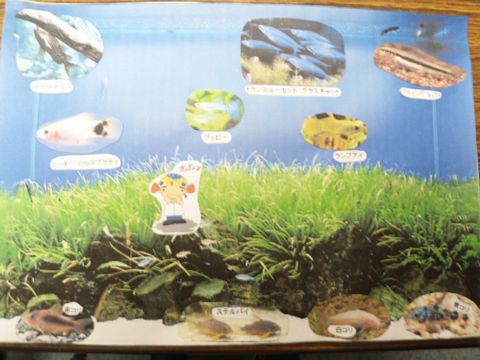 120123_160707.jpg