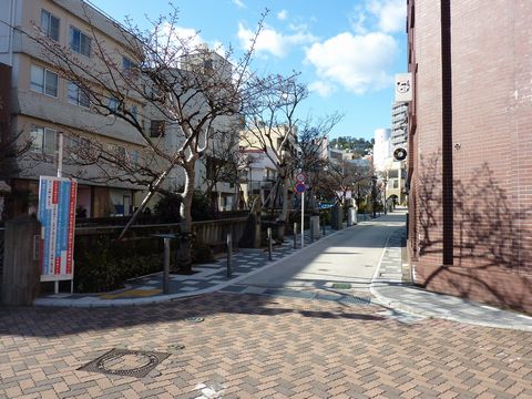 P1000386.JPG