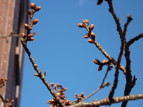 P1000388.JPG