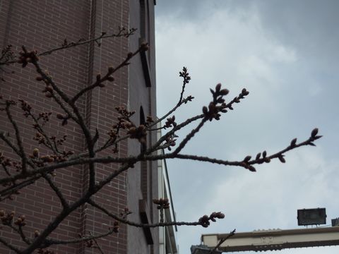 P1000398.JPG