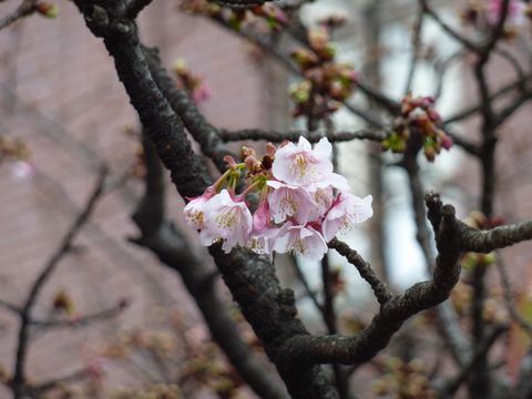P1000399.JPG