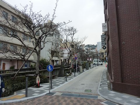 P1000400.JPG