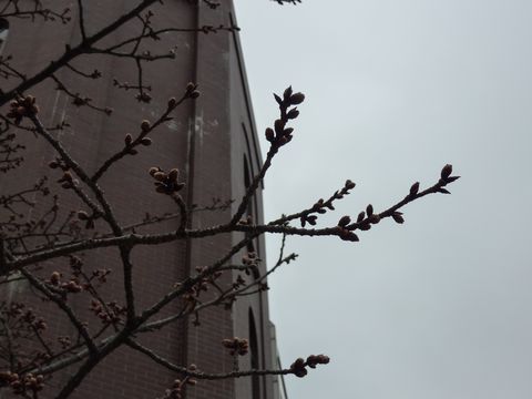 P1000402.JPG