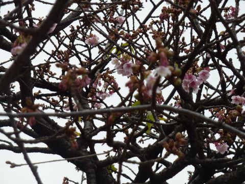 P1000403.JPG
