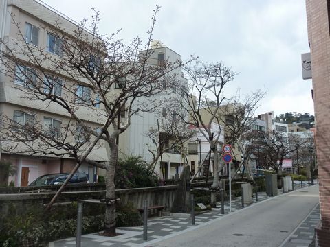 P1000408.JPG