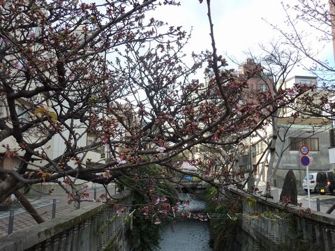 P1000410.JPG
