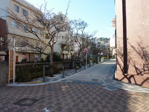 P1000411.JPG