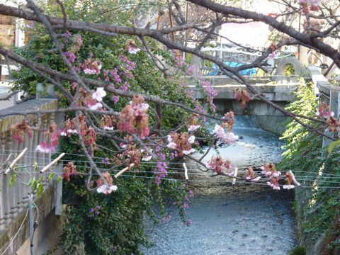 P1000416.JPG