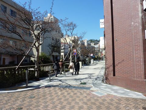 P1000421.JPG