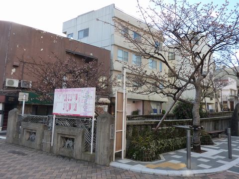 P1000427.JPG