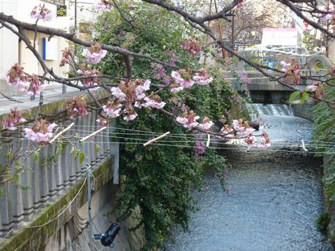P1000430.JPG