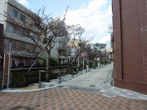 P1000431.JPG