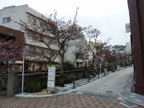 P1000434.JPG
