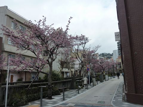 P1000446.JPG