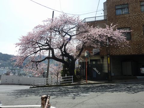 P1000489.JPG