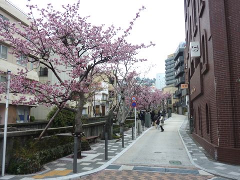 P1000454.JPG