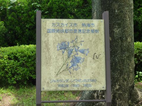 P1000503.JPG