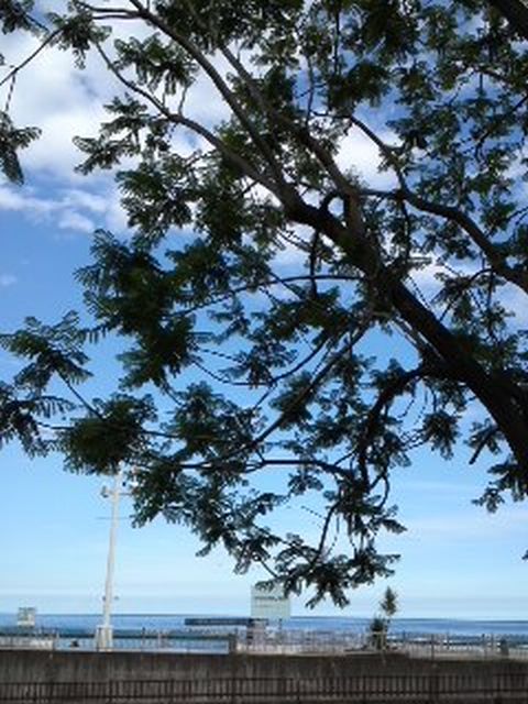 120610_1531~03.jpg