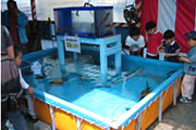 tokoroten3