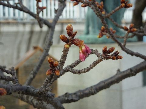P1000998.JPG