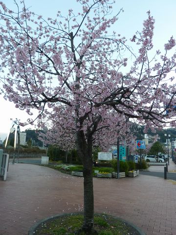 P1010023.JPG