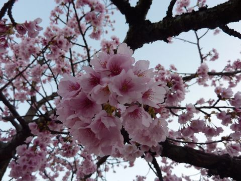 P1010026.JPG