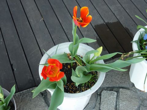 P1010039.JPG