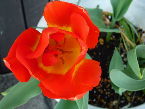 P1010041.JPG