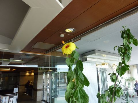 P1010060.JPG