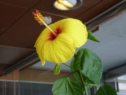 P1010061.JPG