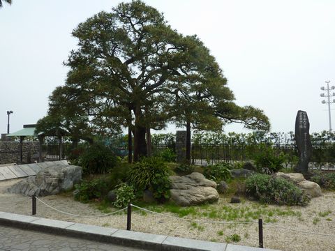P1010062.JPG