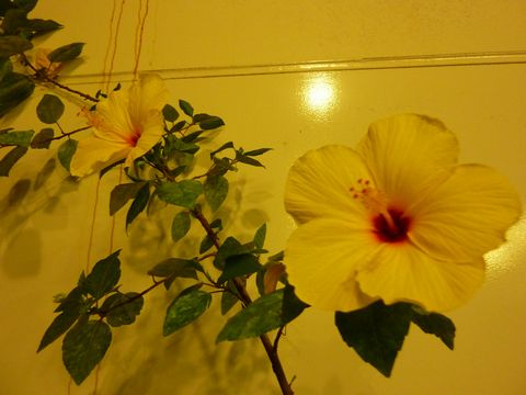 P1010200.JPG