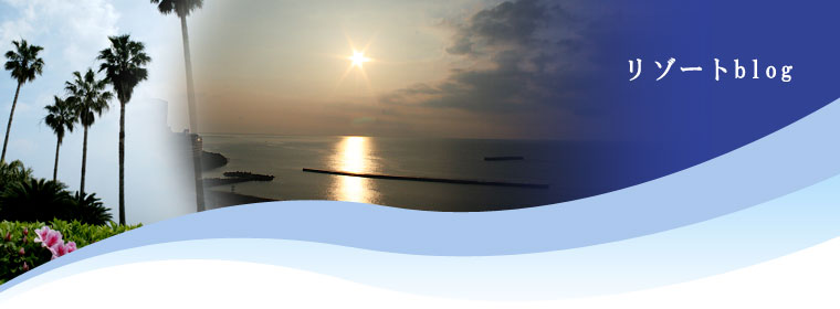 Ǯ������������ ���ѡ��꥾���ȡ��꥾����blog