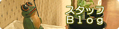 �X�^�b�t�u���O