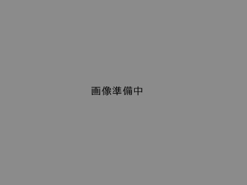 ユニットバスを設置