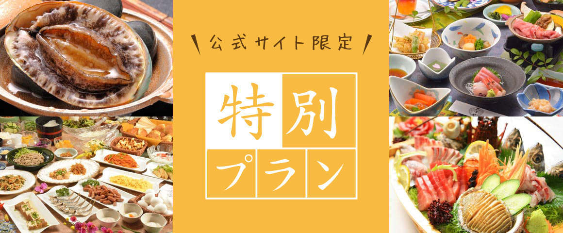 公式サイト限定!特別プラン